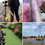 Best Tripods for Beginners vs Professionals
