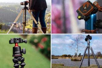 Best Tripods for Beginners vs Professionals